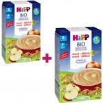 HiPP Mléčná kaše na noc BIO ovesná jablečná 250 g – Zboží Dáma