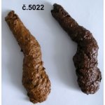 Hovínko rovné – Hledejceny.cz