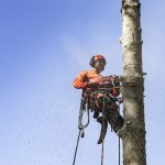 Husqvarna 545 Mark II 9676906-35 – Zboží Mobilmania