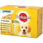 Pedigree Vital Protection 100% kompletní výživa v želé 12 x 100 g – Hledejceny.cz