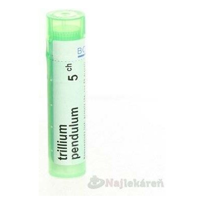 MILLEFOLIUM POR 5CH GRA 1X4G – Hledejceny.cz