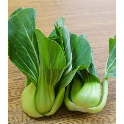 Pak Choi Shanghai - Brassica rapa chinensis - semena pak choi - 200 ks – Hledejceny.cz