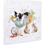 Obraz Wrendale Designs "Sleeping on the Job", 50x50 cm - Pes v kolečku – Zboží Mobilmania