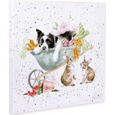 Obraz Wrendale Designs "Sleeping on the Job", 50x50 cm - Pes v kolečku – Zboží Mobilmania