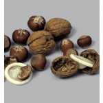 joke21 Kondom v ořechu (21-H) – Zboží Dáma