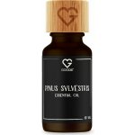 Goodie Esenciální olej BIO Borovice lesní 10 ml – Hledejceny.cz