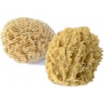 Caribbean Sun mycí houba mořská vlna 12-13 cm bez provázku – Zboží Dáma