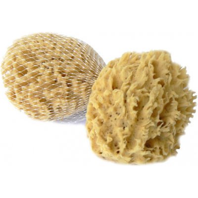 Caribbean Sun mycí houba mořská vlna 12-13 cm bez provázku – Zboží Dáma