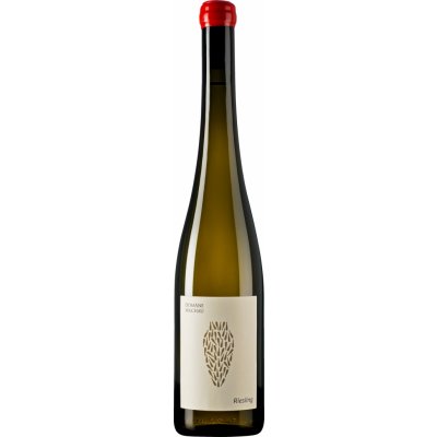 Domane Wachau Riesling Amphora Bílé 2021 12% 0,75 l (holá láhev)