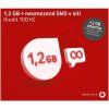 Sim karty a kupony Vodafone SIM karta na data SK48A168