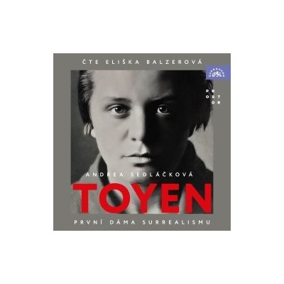 Toyen – Hledejceny.cz