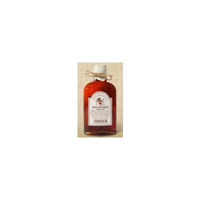 Antonín Škoda Znovuzrození Bylinkový sirup 280 g – Hledejceny.cz
