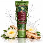 Tesori d'Oriente Forest Ritual sprchový gel 250 ml – Hledejceny.cz