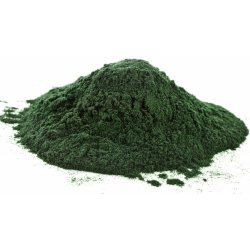 Fruits du Paradis Chlorella prášek sprejové sušení BIO 1000 g