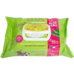 Farm Company ubrousky s Aloe Vera 40 ks – Zbozi.Blesk.cz