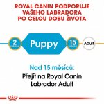 Royal Canin Labrador Retriever Puppy 12 kg – Sleviste.cz