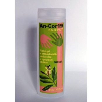 Day Spa An-cor19 s antibakteriální antivirovou a hydratační složkou bez alkoholu 100 ml