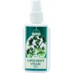 Naděje lopuchový výluh s rozprašovačem 100 ml – Hledejceny.cz