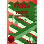 Fyzika v kostce pro střední školy - Vladimír Lank; Miroslav Vondra – Hledejceny.cz