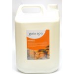 Gaia Spa Esence do sauny Mango 5 l – Zboží Dáma