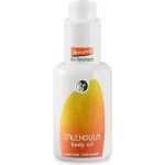 Martina Gebhardt Měsíčkový masážní olej Calendula 30 ml – Zbozi.Blesk.cz