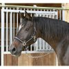 Ohlávky a vodítka pro koně Covalliero Nylonová ohlávka Mustang černá/stříbrná