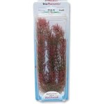 Tetra rostlina Red Foxtail Plus 30 cm – Hledejceny.cz