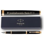 Parker 1502/3131645 Royal I.M. Black GT hrot F – Zbozi.Blesk.cz