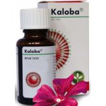 KALOBA POR GTT SOL 1X50ML – Zboží Mobilmania