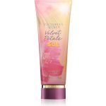 Victoria's Secret Velvet Petals Shimmer tělové mléko 236 ml – Sleviste.cz