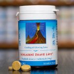 TCM Herbs Ochlazení žhavé lávy 100 tablet – Hledejceny.cz