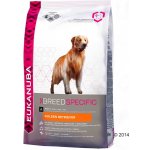 Eukanuba Golden Retriever 12 kg – Hledejceny.cz