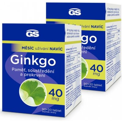 GS Ginkgo 40 mg 2 x 120 tablet – Hledejceny.cz