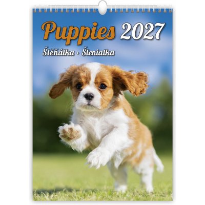HELMA 365 Puppies/Štěňátka/Šteniatka 2027 – Hledejceny.cz