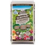 Forestina Hoštický pro zeleninu 40 l – Hledejceny.cz