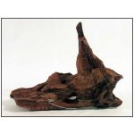 Decor Wood Kořen DriftWood Bulk SS 19-23 cm – Hledejceny.cz