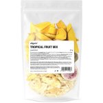 Vilgain Mix lyofilizovaného tropického ovoce 45 g – Sleviste.cz