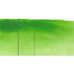 Roman Szmal akvarelová barva Aquarius 231 Permanent Green Light – Sleviste.cz