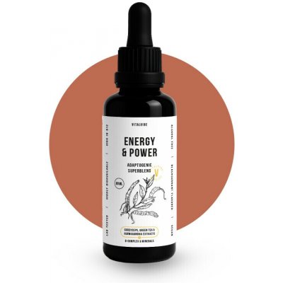 Vitalvibe Energy & Power Adaptogenic Superblend černý rybíz 60 ml – Hledejceny.cz