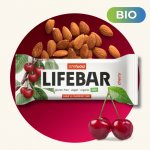 Lifefood Lifebar BIO RAW 40 g – Zbozi.Blesk.cz