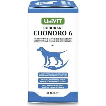 Univit Roboran Chondro 6 60 tbl