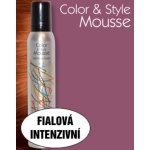 Omeisan Color & Style Mousse tužidlo fialová intenzivní 200 ml – Zboží Mobilmania