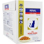 Royal Canin VD Cat Renal Beef 12 x 85 g – Sleviste.cz
