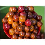 Carp Servis Václavík Booster IN Liquid Jahoda 500 ml – Zboží Dáma