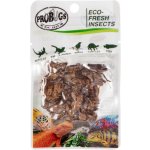 ProBugs Eco-Fresh Cricket 6 g – Zboží Mobilmania