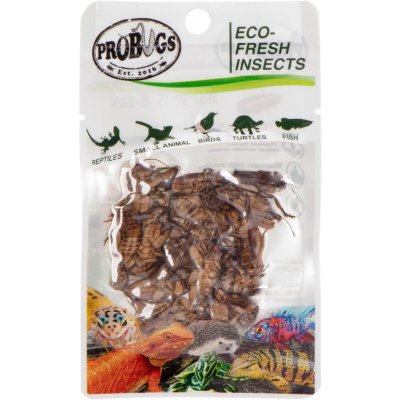 ProBugs Eco-Fresh Cricket 6 g – Zboží Mobilmania