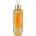 Tesori d'Oriente Parfémovaný tělový sprej Passion Island 200 ml – Hledejceny.cz