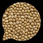 Country Life Bio Sójové boby 0,5 kg – Zboží Dáma Country Life Bio Sójové boby 0,5 kg – Zboží Dáma