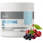 OSTROVIT Creatine 300 g – Hledejceny.cz