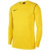 Dětské sportovní tričko Nike Y NK DF PARK20 CREW TOP R fj3008-719